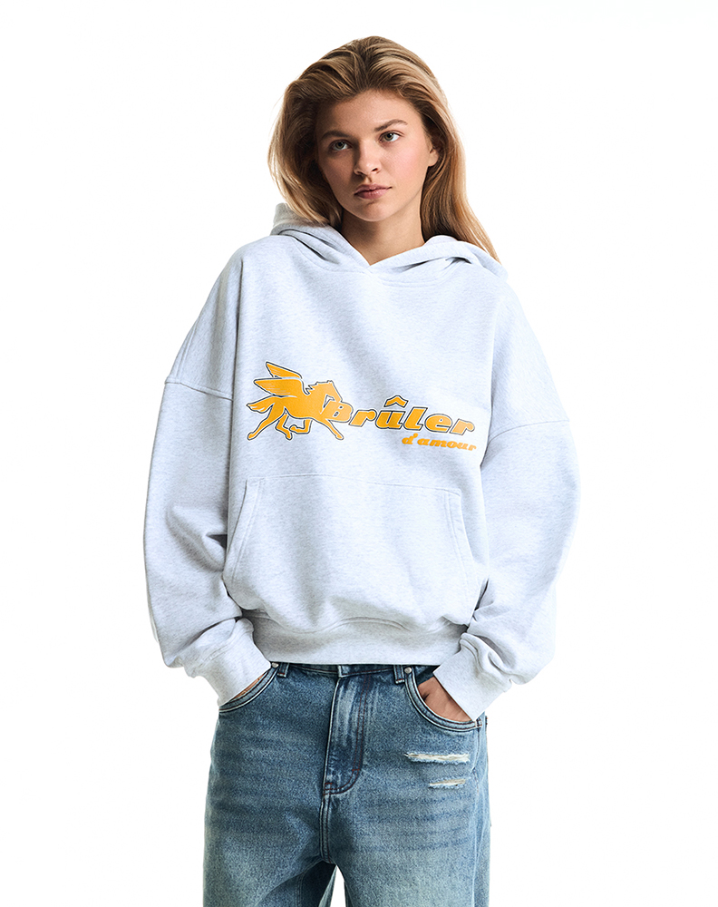 Оверсайз худи серого меланжевого цвета “Pégase”