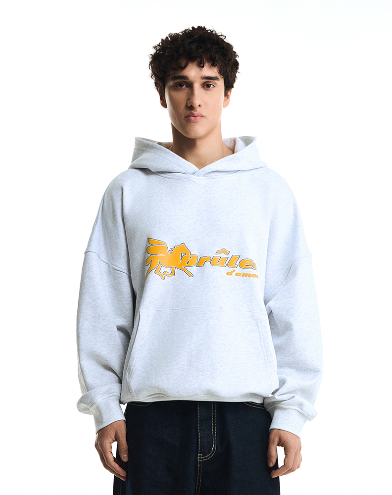 Оверсайз худи серого меланжевого цвета “Pégase”